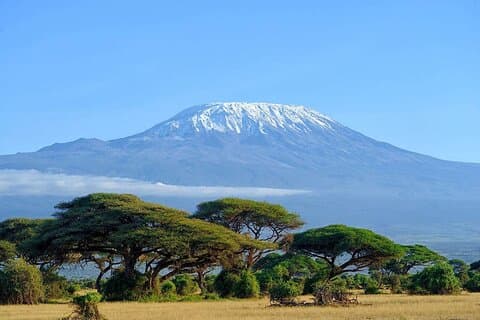 Hel dag, liten gruppe guidet tur til Amboseli nasjonalpark