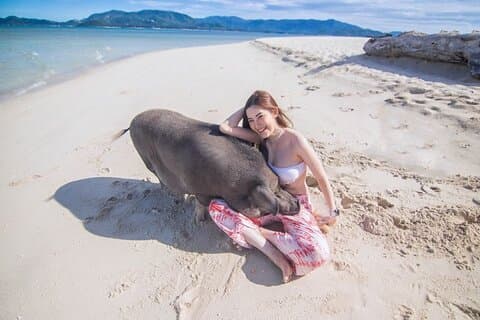 Tour dell'isola dei maiali di Koh Samui in motoscafo con snorkeling