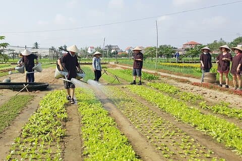 Kräuterdorf Tra Que und Töpferdorf Thanh Ha: Tour mit dem Roller