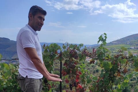 Vinho Verde 2 Wijnhuizen + Culturele Guimarães - Privé / van Porto
