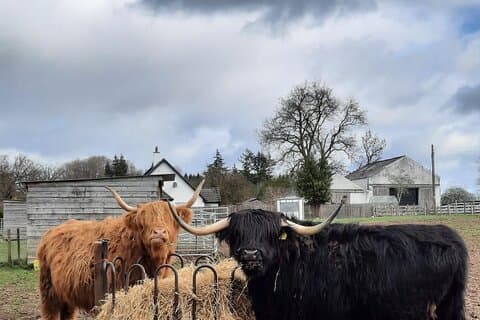 Hotéis em Dunrobin Castle, Millionaire Viewpoint & Highland Cows