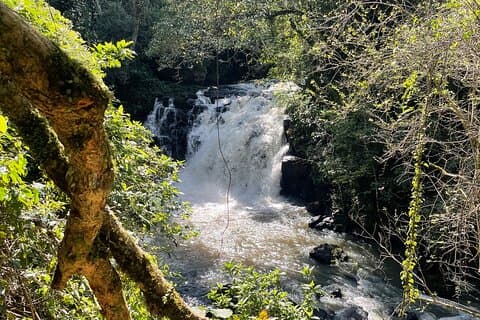 Trap naar de waterval in de achtertuin