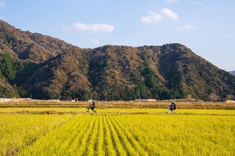 Kinosaki:Rental Electric Vehicles-Natural Treasures route-/120min