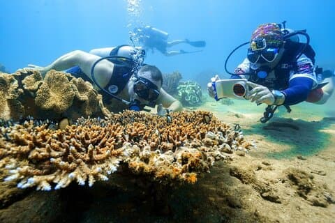 Snorkeling sull'isola di Cham e tour in spiaggia (Hoi An Vietnam)