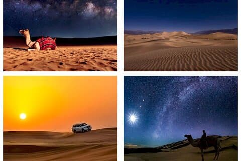 Doha: Night Desert Safari | Transit Safari | Kameltur | Dune Bashing