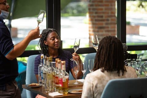 The Ultimate Tequila Experience: from Agave Field to Glass