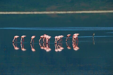 A Private Day Trip to Ngorongoro Crater