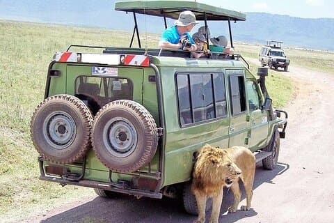 Tre dagars spännande Masai Mara Jeep Safari Spektakel