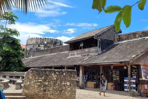 Ultimate Mnemba Dolphins, Spice Farm & Stone Town Day Tour