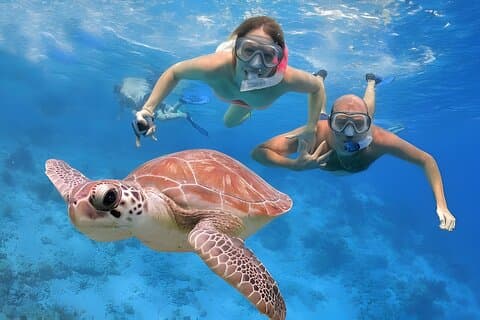 2-dagers full privat tur: Muscat City-tur og Dimaniyat-øyene