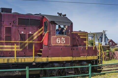 Skunk Train: Wolf Tree Turn from Willits