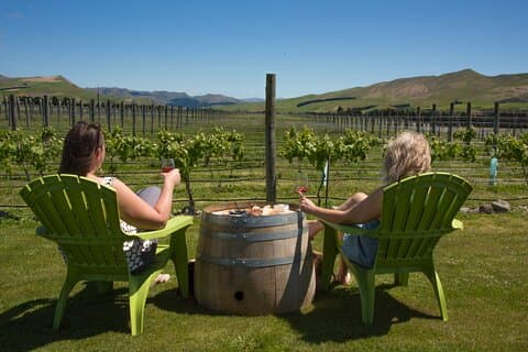 Waipara Wine Experience für 2 oder mehr Personen, inklusive Verkostungen und Mittagessen
