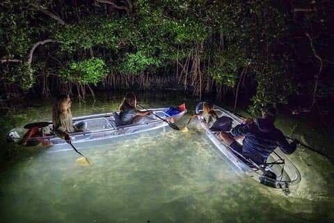 Sarasota - Clear Kayak LED nocturno de vidro Bottom Tour