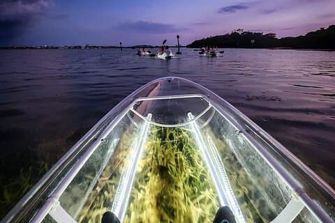 Ilha de Anna Maria - Clear Kayak LED Night Glass Bottom Tour