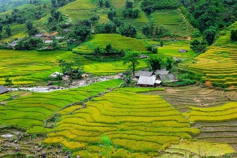 A day Trek to Rice Field in LaoChai-Tavan village-MuongHoa valley