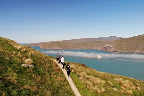 Lyttelton Shore Excursion - Guided Walking Tour and Picnic