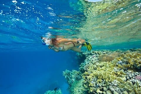 Private Full Day Snorkeling Activity in Marsa Alam