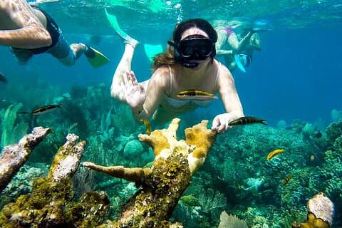 Attività di snorkeling a Marsa Allam con pranzo
