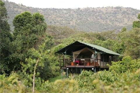 3-Day Mid-Range Jambo Masai Mara Safari on 4x4 Land Cruiser Jeep