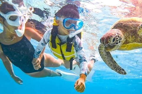 Snorkeling Activity in Okinawa Miyako Japan