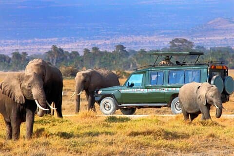 4 dager Masai Mara Lodge Safari på 4x4 Land Cruiser Jeep