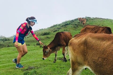 Full Day Sapa Cow Hill Trekking Tour