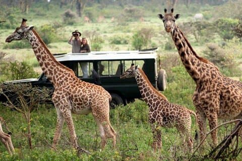 Nairobi National Park Beads Center Bomas and Dinner Carnivore