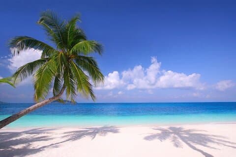 Hurghada : 7-Hour Trip to Paradise Island