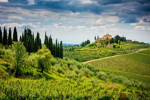 Privé Chianti Classico-wijntour van een hele dag vanuit Florence