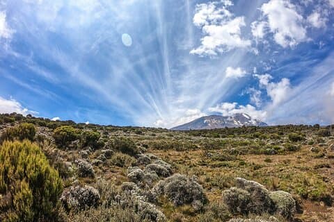 8-Day Hiking Tour Lemosho Route in Tanzania