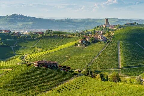 Heldags privat Piemonte-vinturopplevelse fra Torino