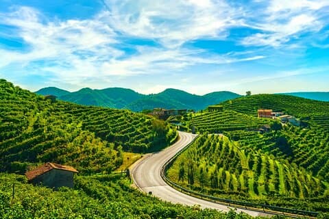 Volledige dag privé Prosecco-wijntourervaring vanuit Venetië