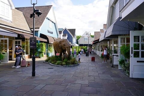 Private Shopping Tour from London to Bicester Village Outlet