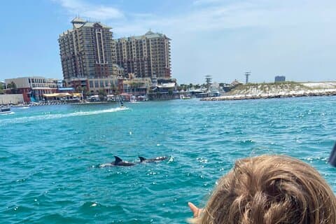 2 uur durende begeleide dolfijnentour in Florida