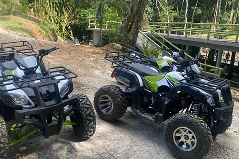 Evite las colas en vehículos todo terreno, paseos a caballo y tirolesa desde Montegobay