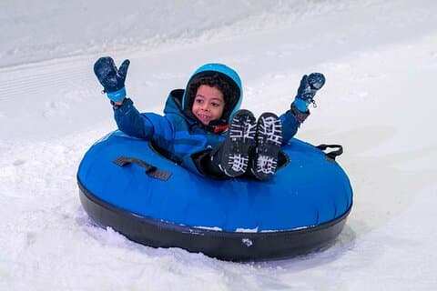 Snow Abu Dhabi With Transfer Optional