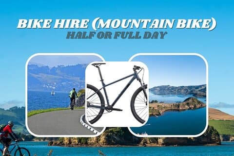 Non-Electric Bike Rental