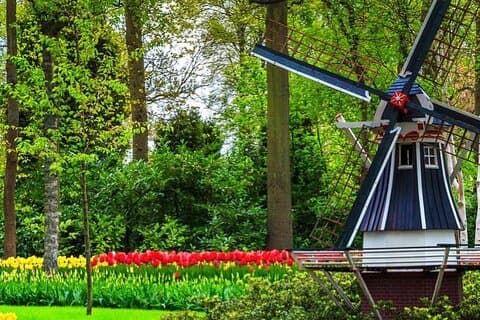 Exclusieve Privé Keukenhof en Tulpenvelden Tour