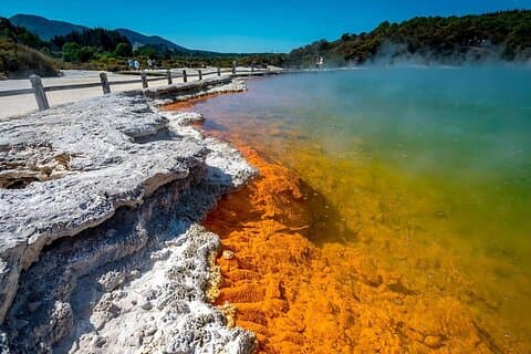 Wai-O-Tapu to Redwoods and Secret Spot Private Tour from Auckland
