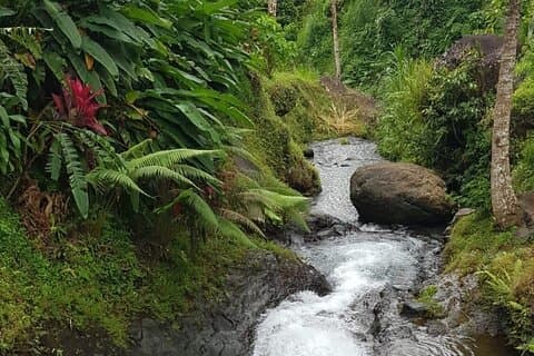 Ganztägige private Tour in Nord-Bali