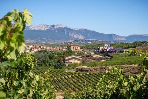 Vineyard Voyage: tour privato di un amante del vino da Bilbao alla Rioja