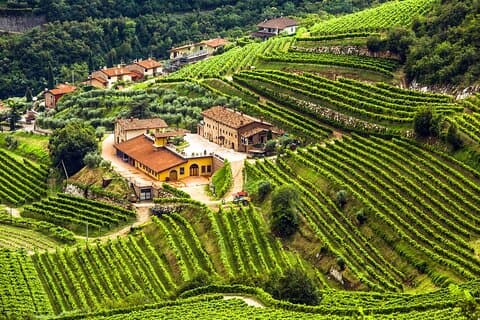 Privat Valpolicella vinturoplevelse fra Verona