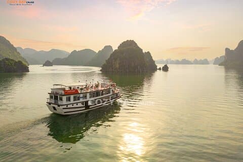 Cozy Bay Cruises: el mejor crucero boutique en la bahía de Halong Tour 2D/1N
