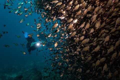 2 jours de cours avancé SSI Open Water à Boracay