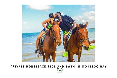 Privat ridetur og svøm i Montego Bay