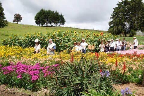 Private Tour Heart Flower Fair + Abenteuerpark + Blumenfarm