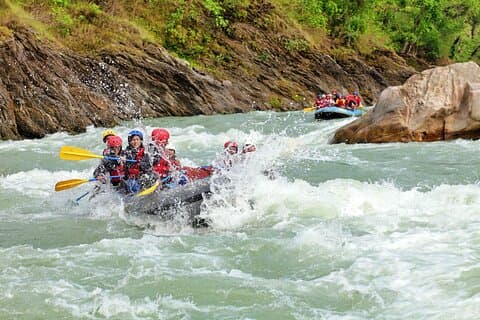 Spændende Jungle Safari & White Water Rafting Ekspedition