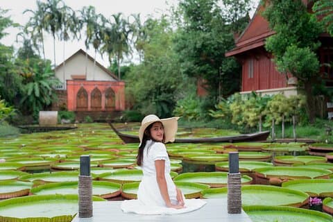 Tour privato delle ninfee giganti e del tempio di Phuket