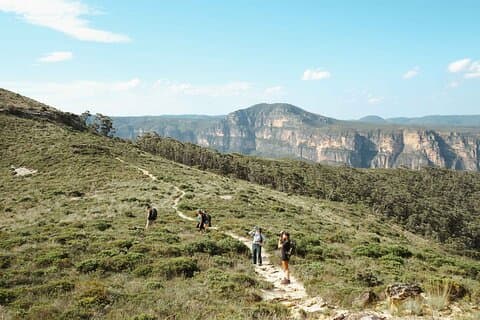 Private Blue Mountains Tour | Waterfalls, Koalas & Views