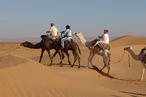 Quad Bike Desert Safari med Camel Ride fra Marsa Alam